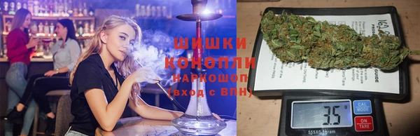 прущие грибы Вязники