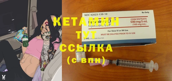 прущие грибы Вязники