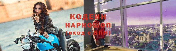 прущие грибы Вязники