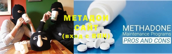 прущие грибы Вязники