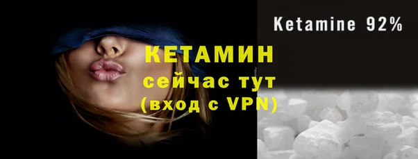 прущие грибы Вязники