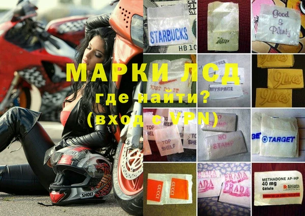 прущие грибы Вязники