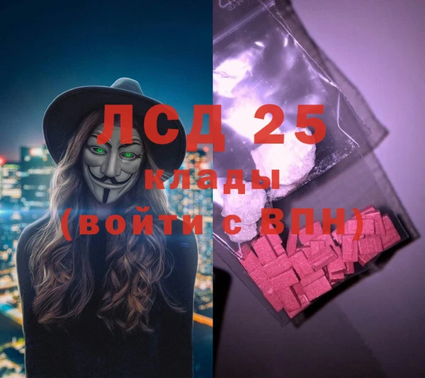 прущие грибы Вязники