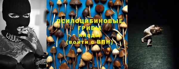 эйфоретик Вязьма