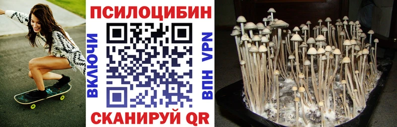 Купить  Красногорск  Галлюциногенные грибы ЛСД 